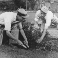 1956 - Bart & his brother maintaining Trenton Parks 