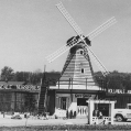 1965 - Hollandale Windmill a local landmark